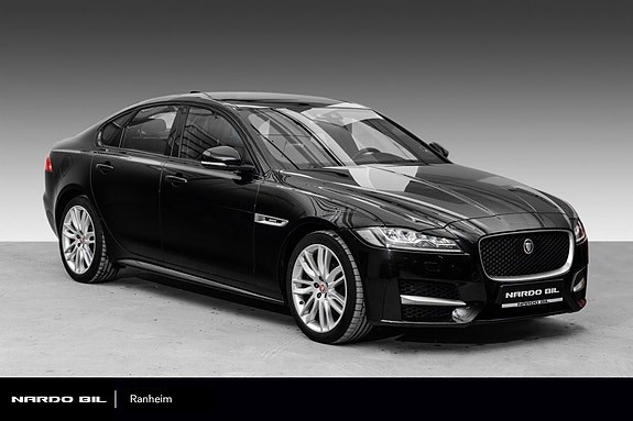 XF