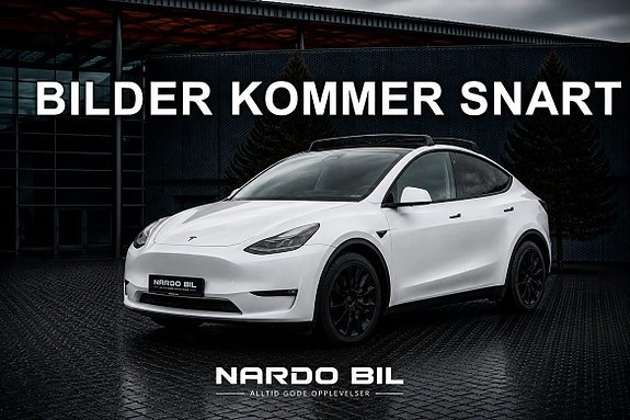 Model Y
