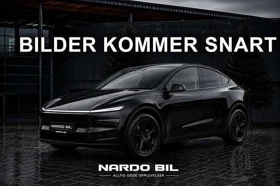 Model Y