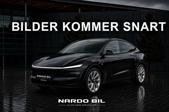 Model Y