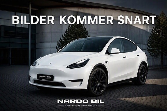 Model Y